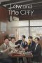 Law and the City (2025)