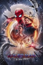 Spider Man No Way Home (2021) Sub Indonesia