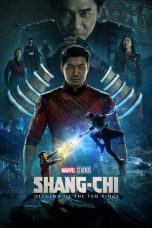Shang Chi and the Legend of the Ten Rings (2021)