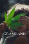 Grassland (2025) Sub Indonesia