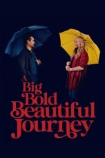A Big Bold Beautiful Journey (2025) Sub Indonesia
